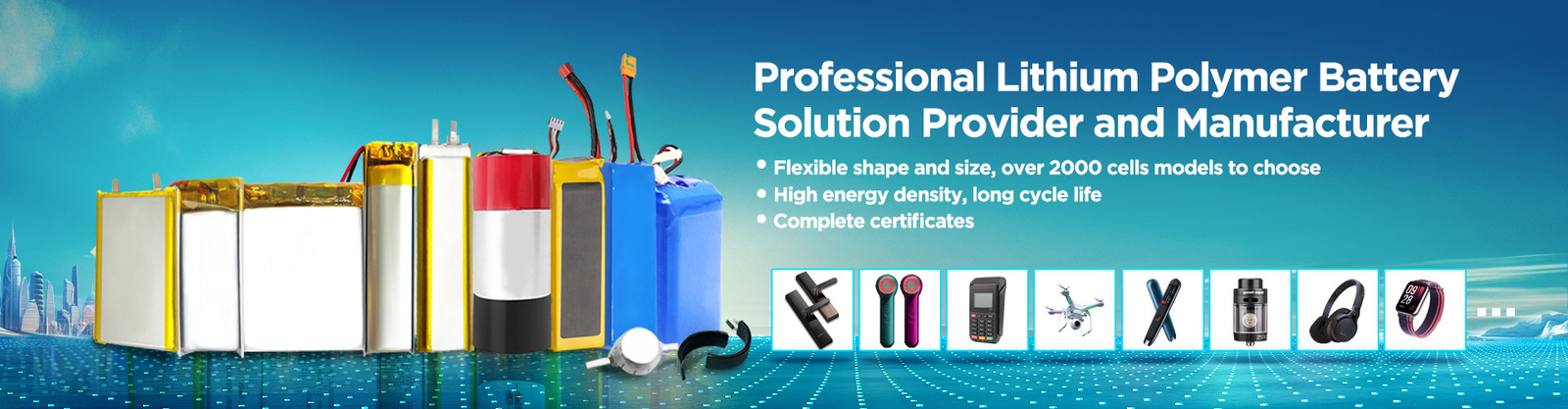 Pin lithium polymer